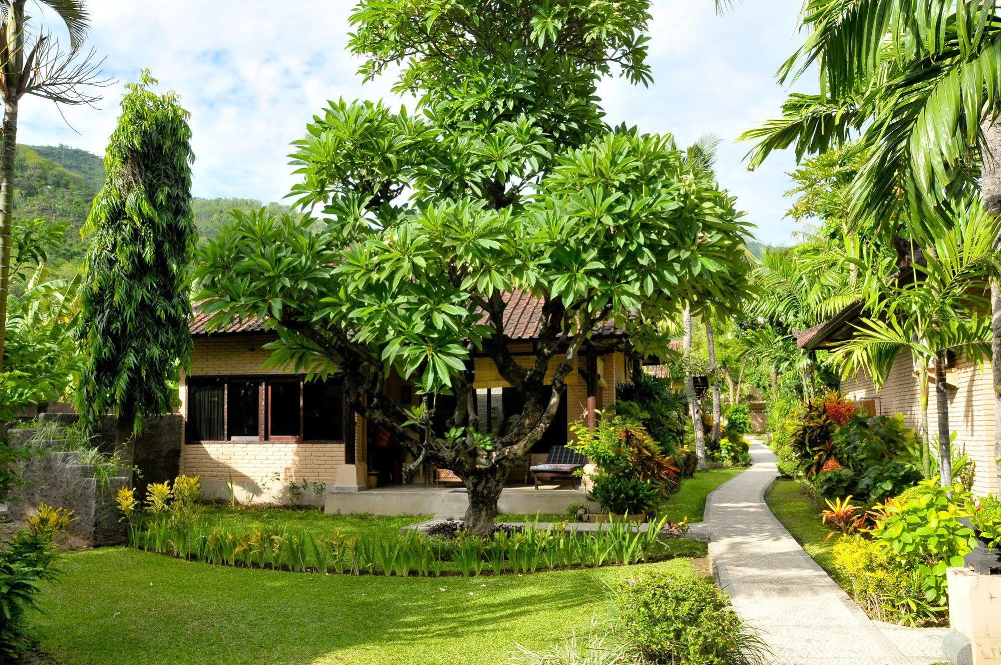 Hidden Paradise Cottages Амед Екстер'єр фото
